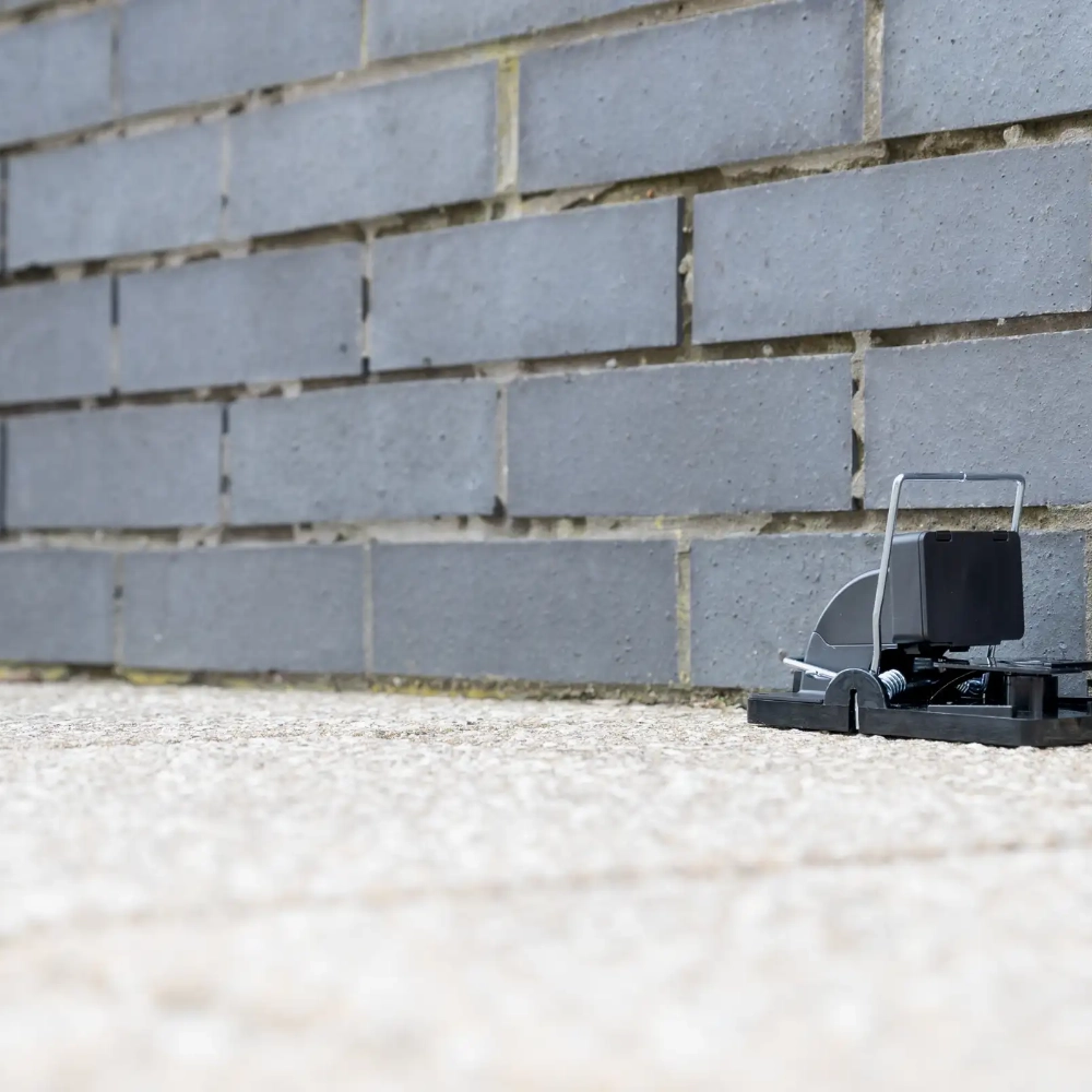 Rat Riddance Connect in situ side