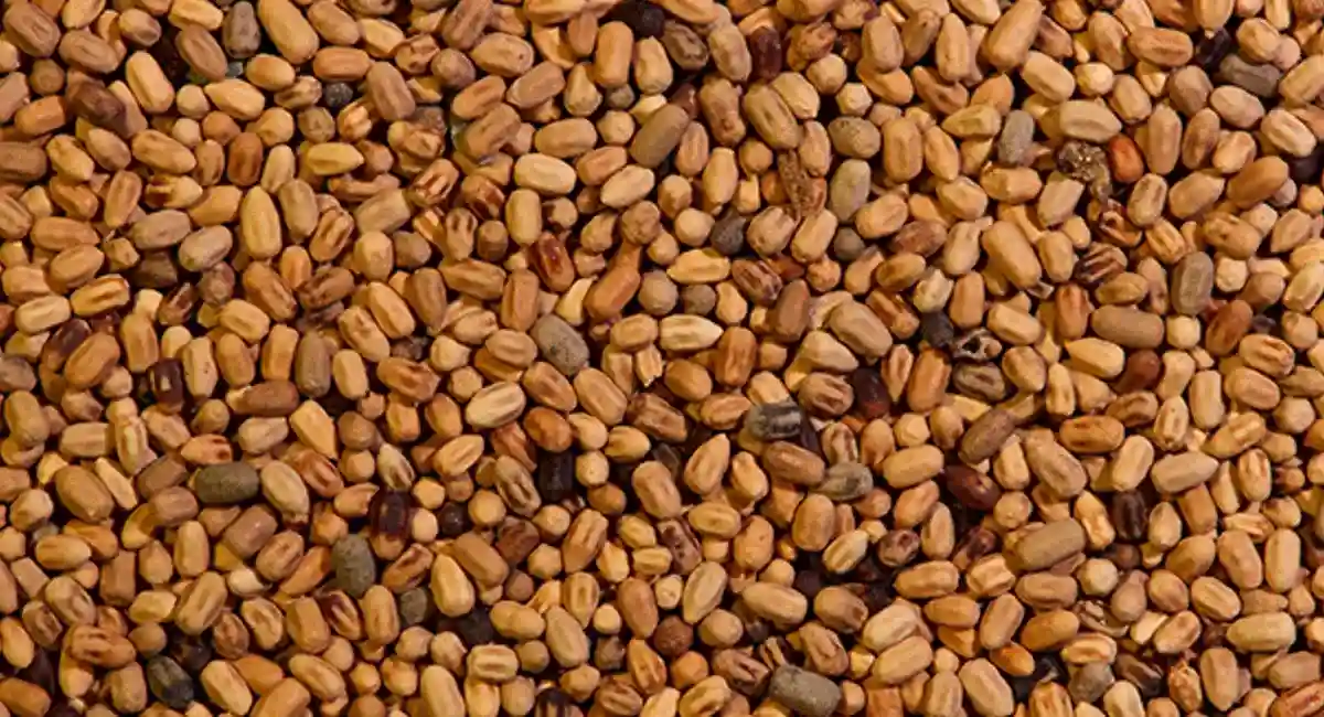 Termite Pellets