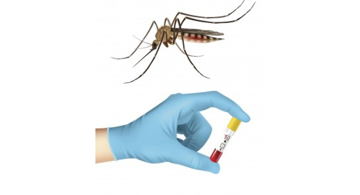 Mosquito and blood sample