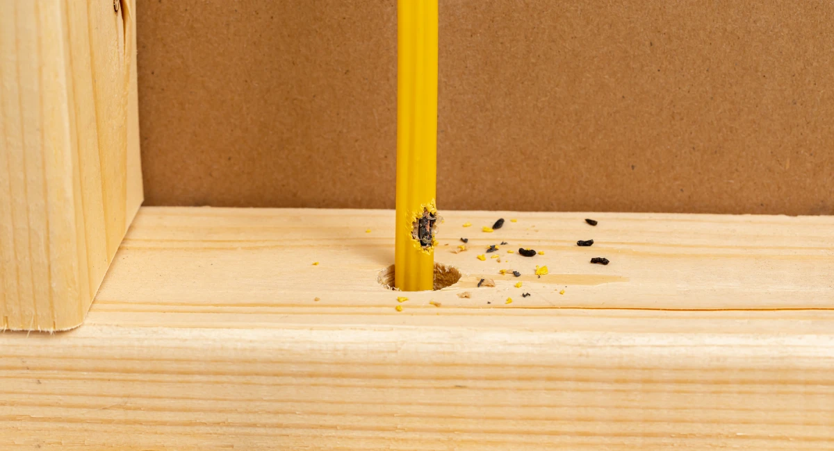 Mouse poo - small oblong pellets - sit next to a chewed electrical cable.