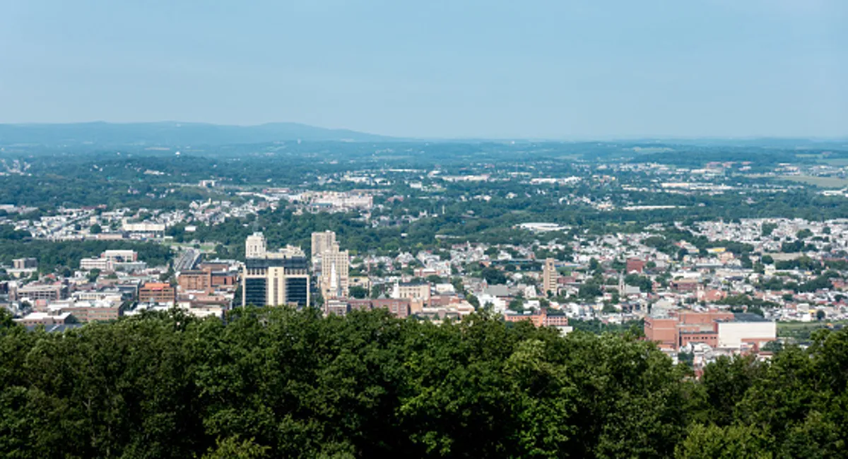 top 5 cities for termites