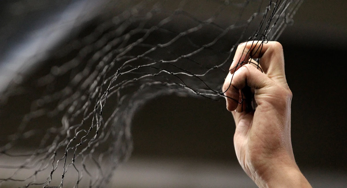 Anti-pest net