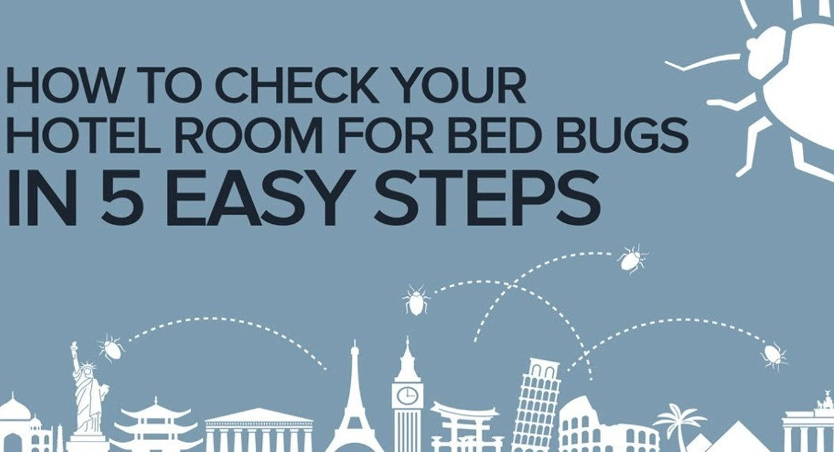 Bedbug Infographic