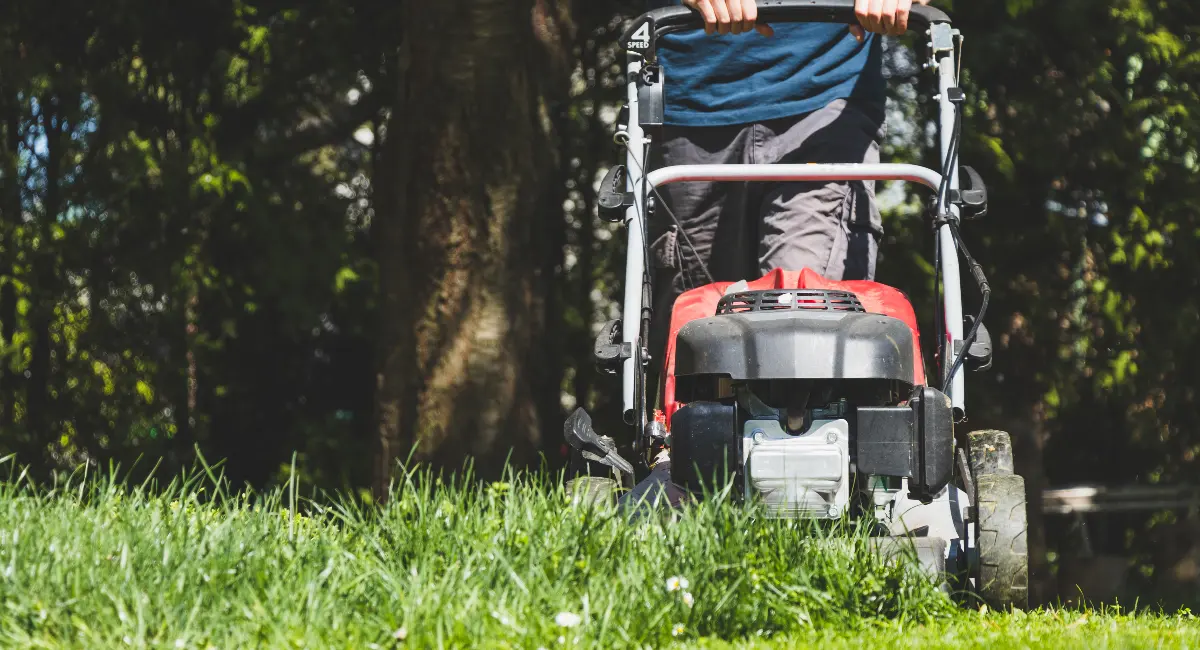 Mowing the lawn