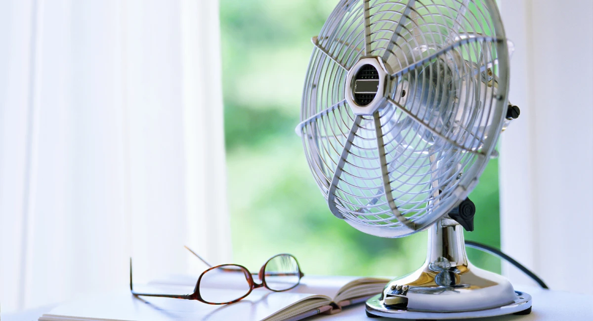 Fan