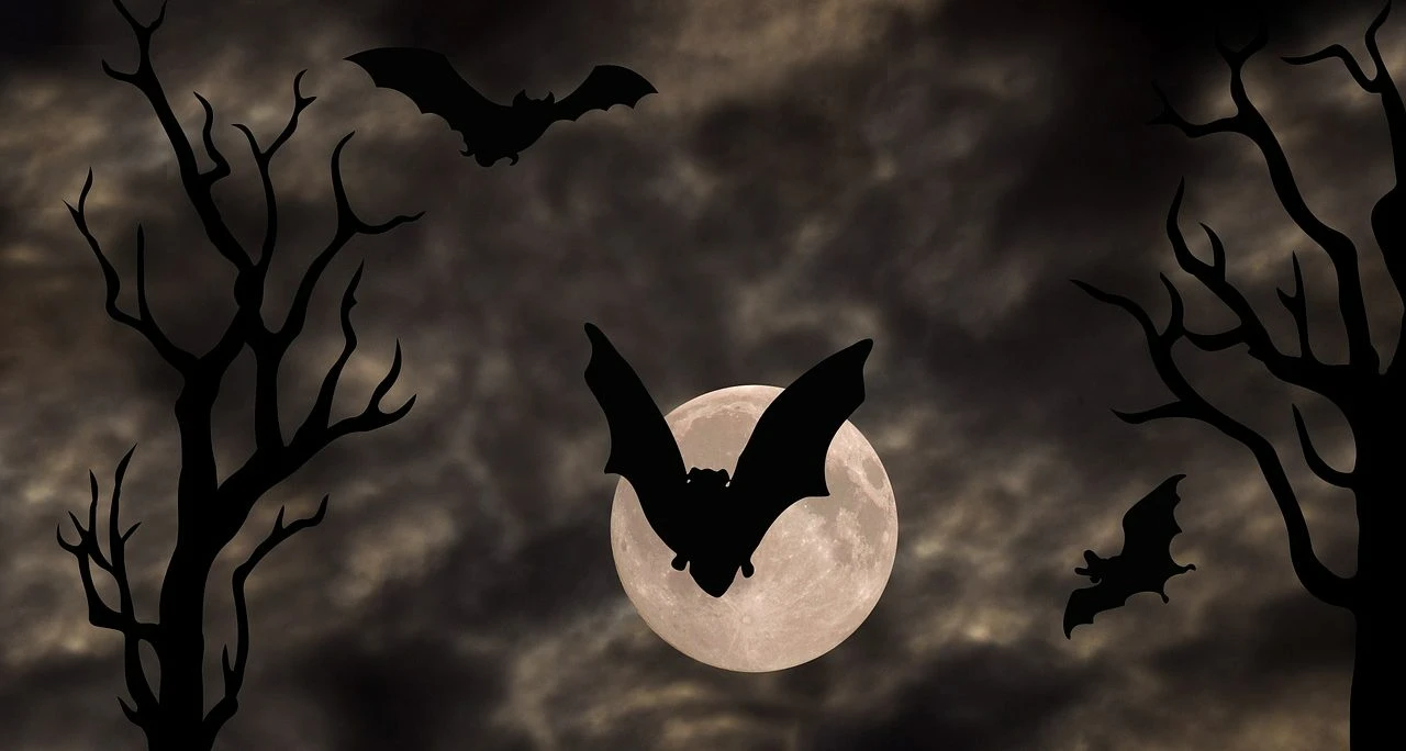 Are bats rodents