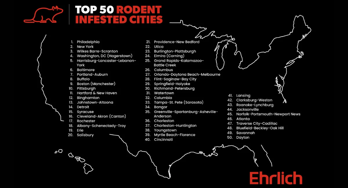 top rodent infested cities