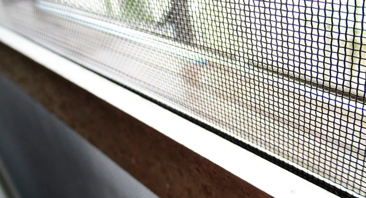 Screening on patio