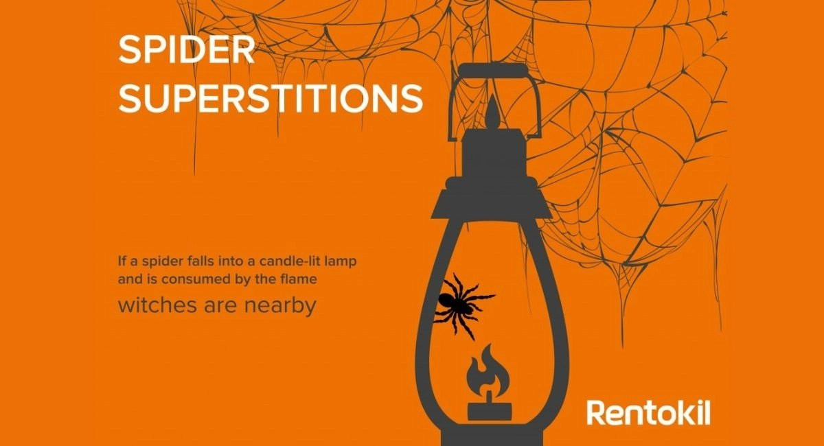 Spider superstitions
