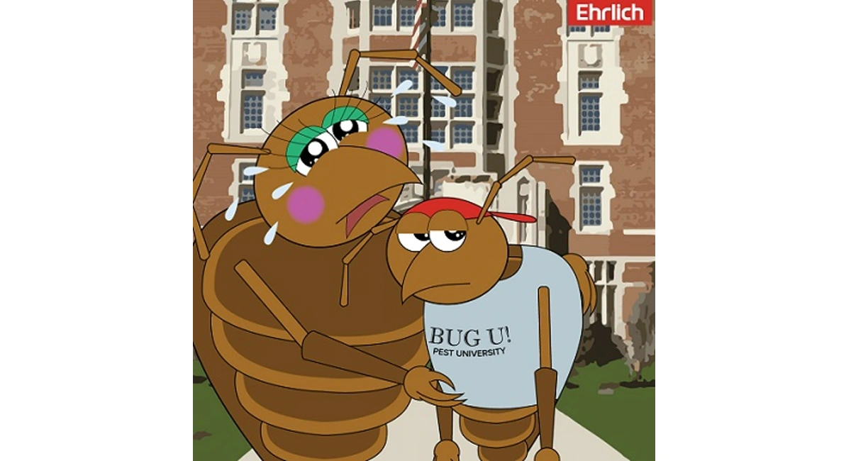 Bed bugs back to school 