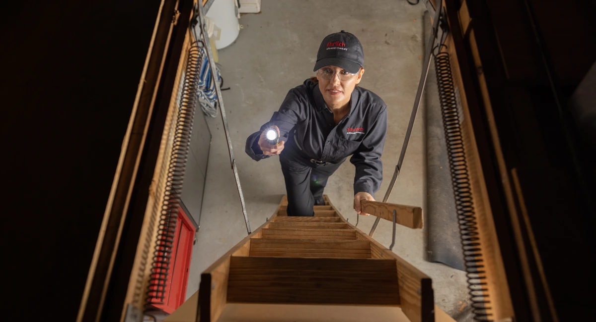 Ehrlich Specialist shines flashlight into the attic