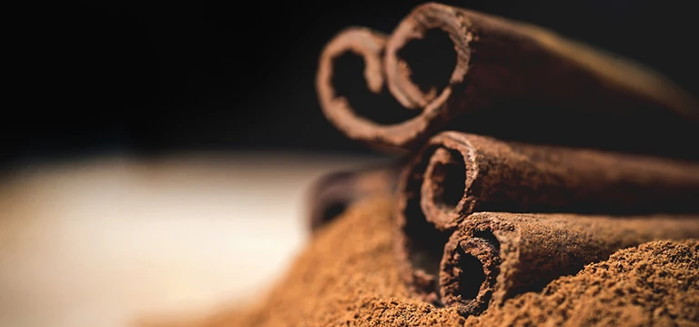 Cinnamon pieces