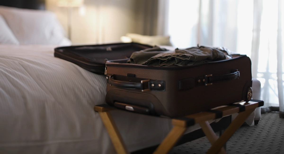 Bedbugs and luggages