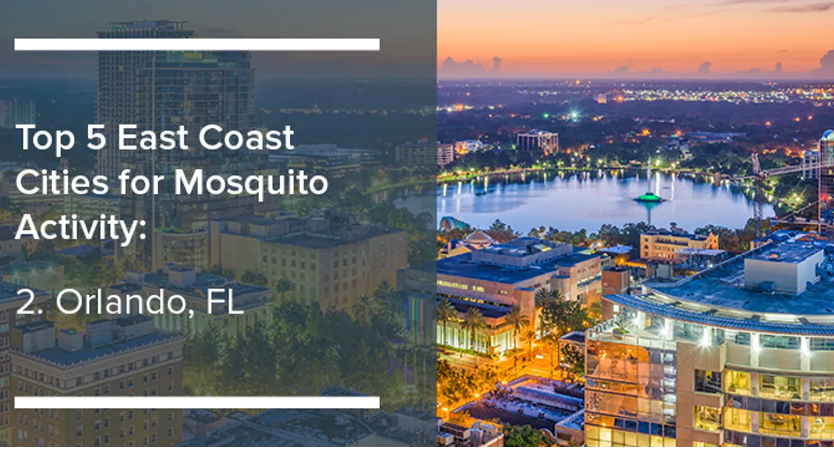 Orlando, FL