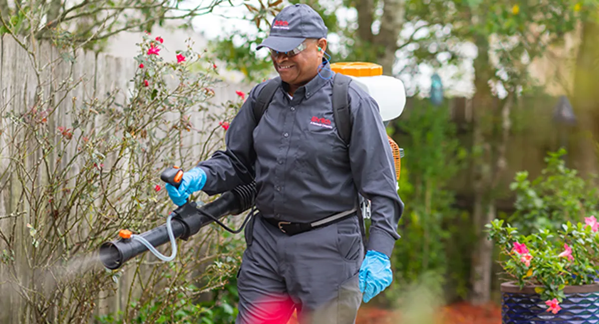 Colleague spraying for mosquitoes