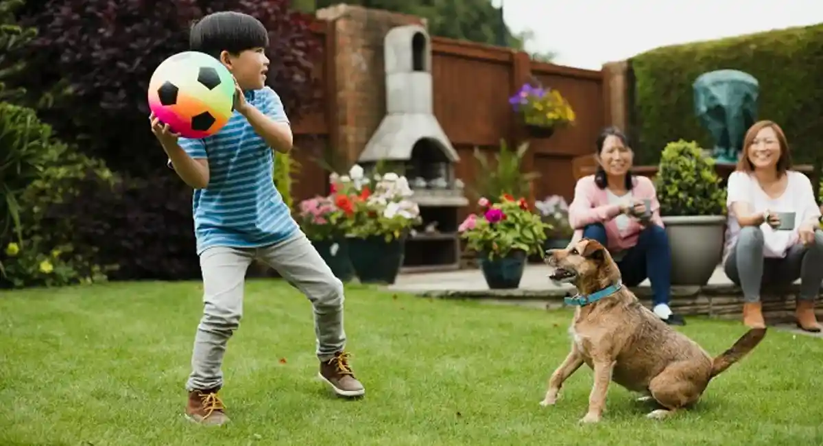 Kid playing with dog in the yard with family in the back