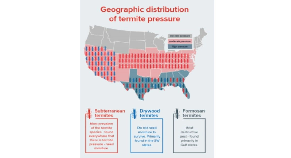termite pressure in the united states