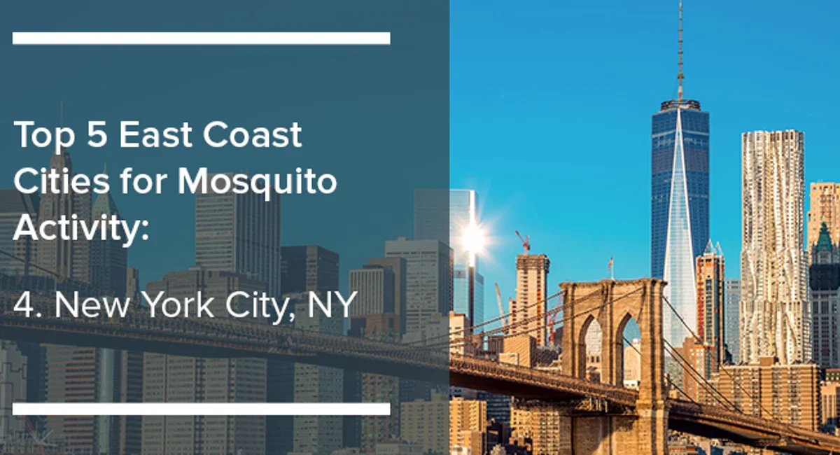 New York City, NY