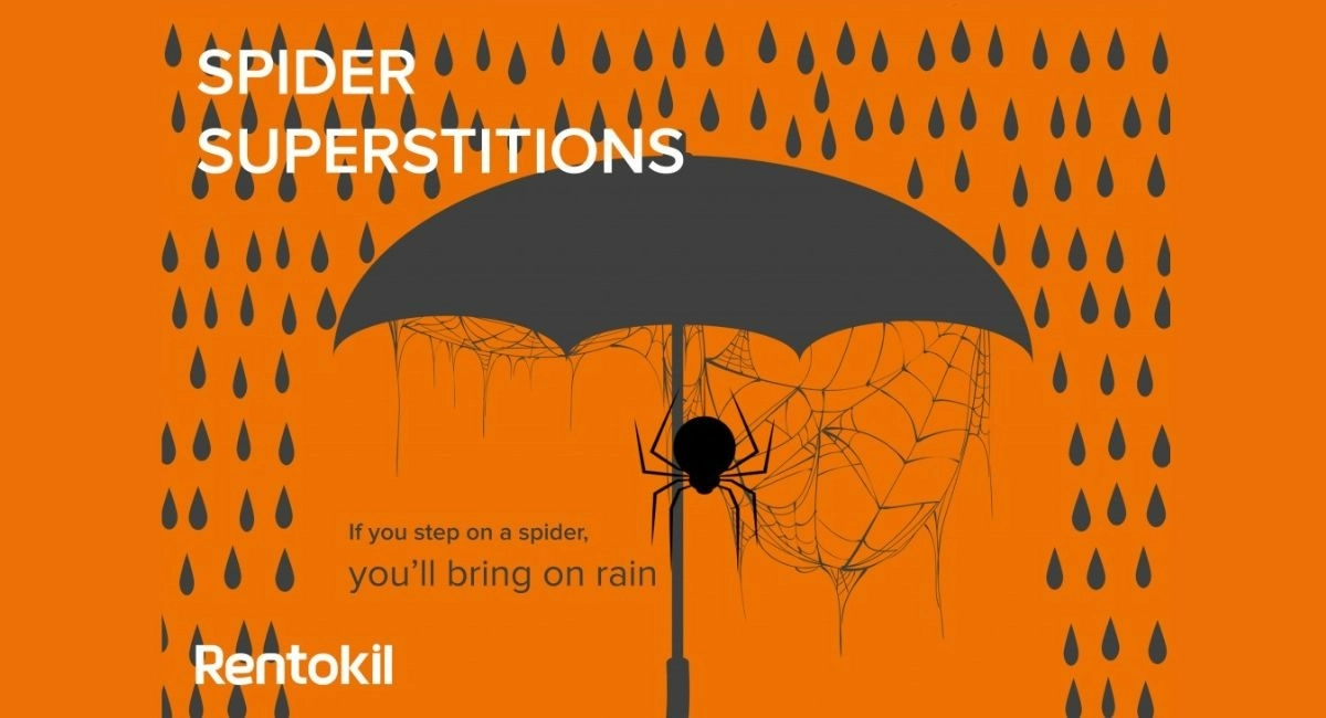 Spider superstitions