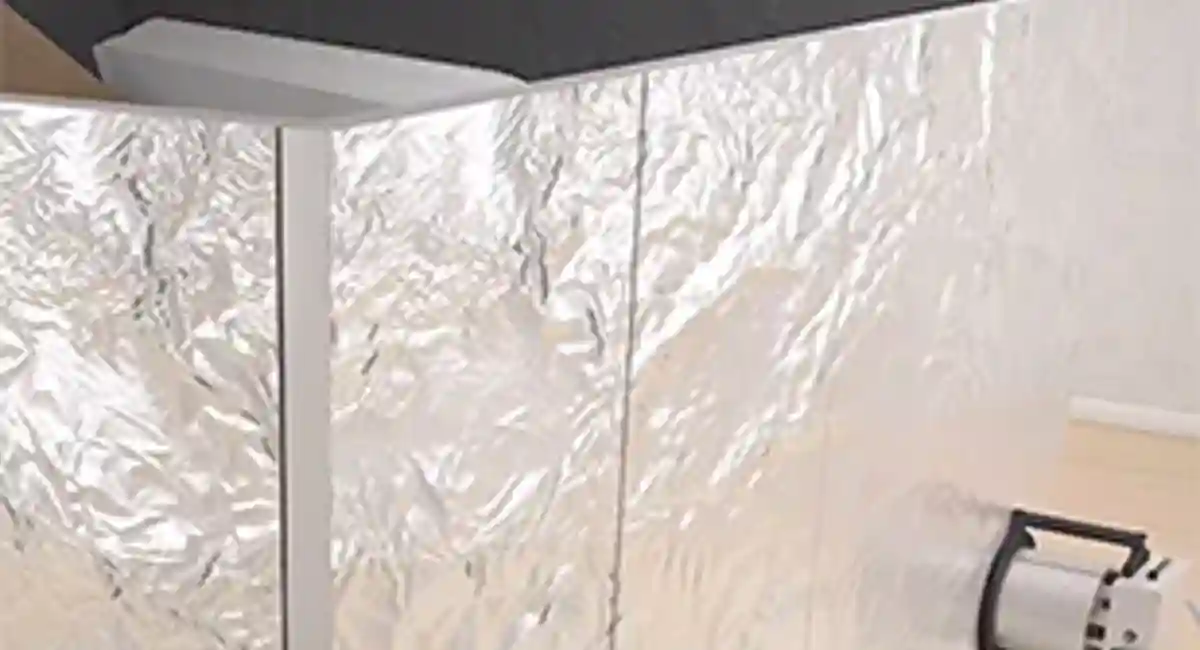 bed bug heat treatment