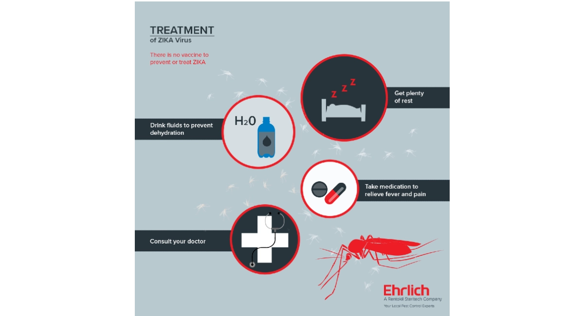 zika treatment
