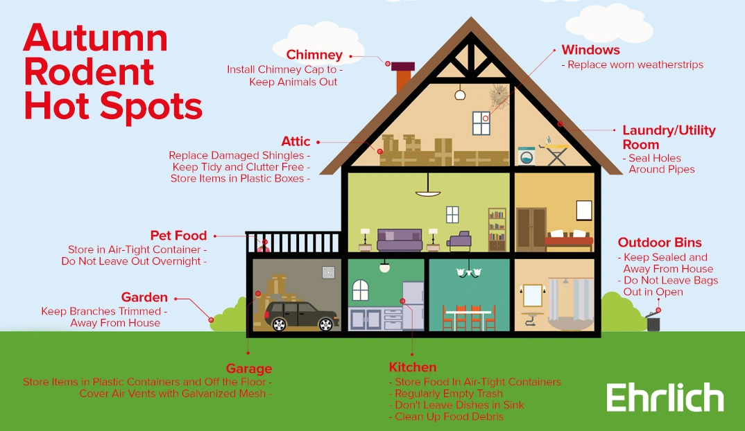 Autumn Rodent Hot Spots